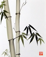 bamboo-2